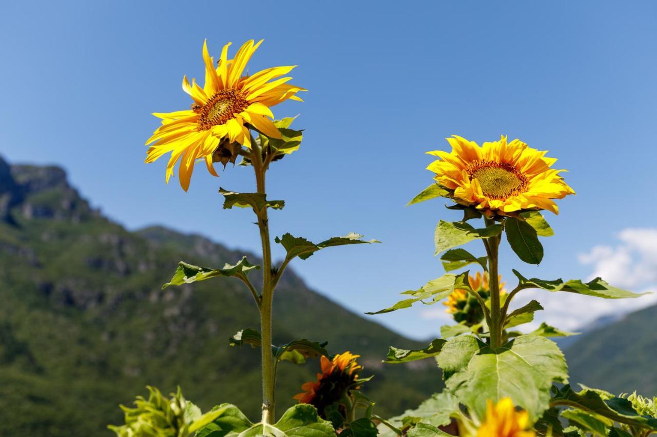 Arve Castelbianco - B&B E Appartamento Colletta Экстерьер фото